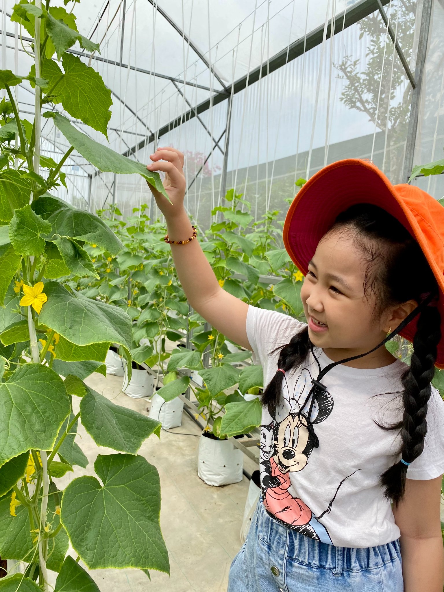 Chuyến dã ngoại đầu tiên của những chú khỉ con tại Hữu Nghị School